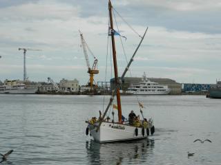 20110924203154.JPG