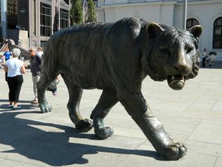 20130823155320.JPG