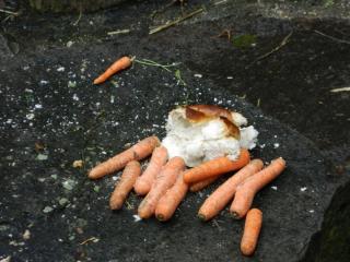 20130103150004.JPG