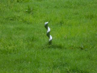20130821095918.JPG