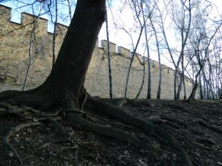 20130102124616.JPG