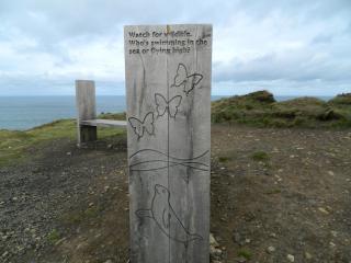 DSCN4780.JPG