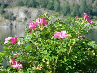 20130822171604.JPG