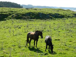 20130822123222.JPG