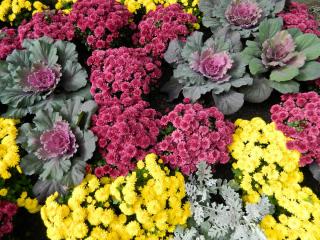 20111006150752.JPG