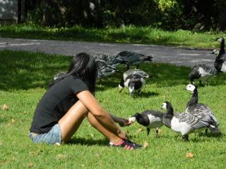 20130816160236.JPG