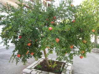 20100917143216.JPG