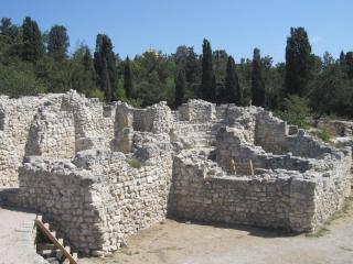 IMG_2614.JPG