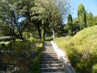 20111004165240.JPG