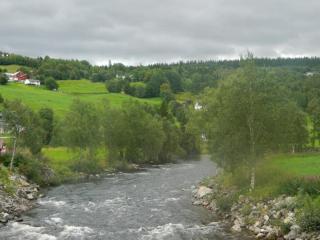 20130818150456.JPG
