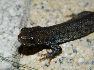 20110921222240.JPG