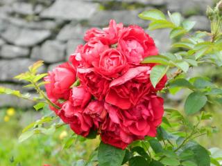 20130821193910.JPG