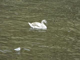 20130104152232.JPG