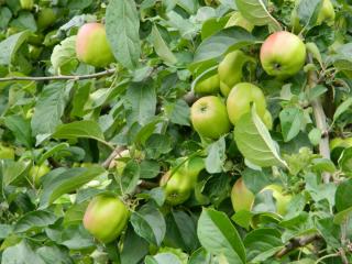 20130821174742.JPG
