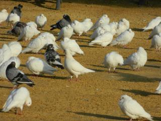 20110929114038.JPG