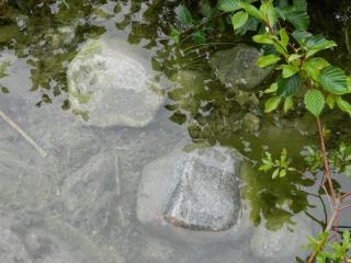 20130820160008.JPG