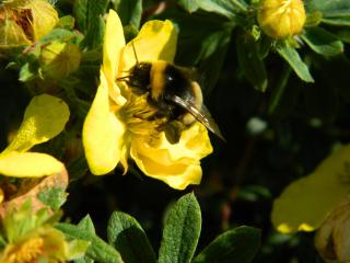 20130822171544.JPG