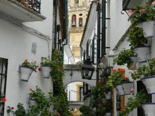 20110928175510.JPG