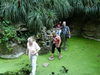 20110930192710.JPG