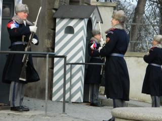 20130101160622.JPG