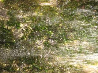 20100919100546.JPG