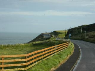 DSCN4556.JPG