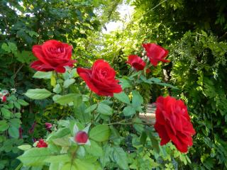 20110928121232.JPG