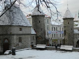 DSCN4474.JPG