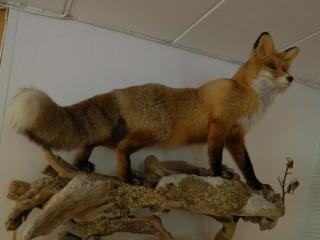 20130821094432.JPG