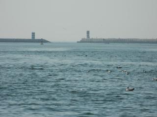 20111002181610.JPG