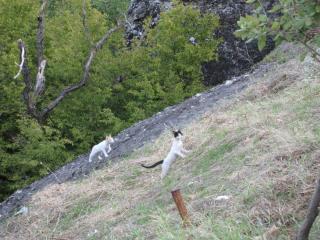 20100920081550.JPG