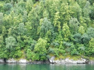 20130820105746.JPG