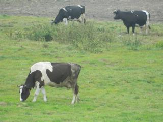 20111007164202.JPG