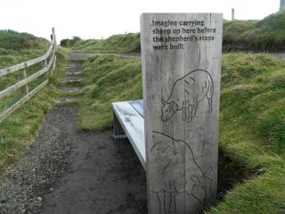 DSCN4741.JPG