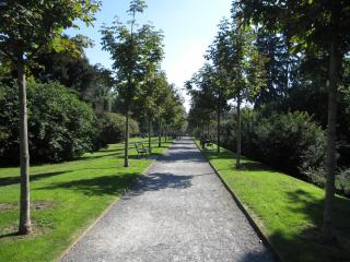 20100923132410.JPG