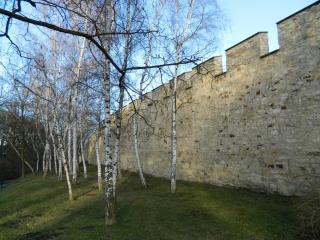 20130102124448.JPG