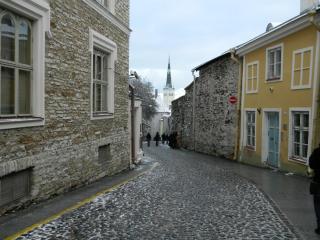 DSCN4413.JPG