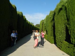 20110928125108.JPG