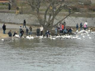 20130104152102.JPG