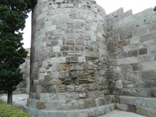 20110925102132.JPG