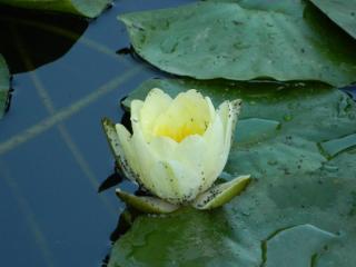 20110928142804.JPG
