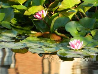 20110929114434.JPG