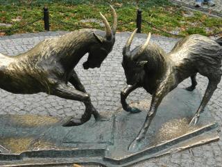 20111007124426.JPG