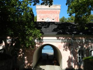 20130826144840.JPG