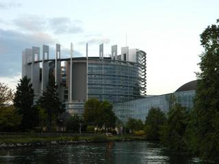 20111005204520.JPG
