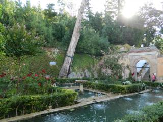 20110928122652.JPG