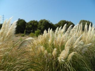 20110929181942.JPG