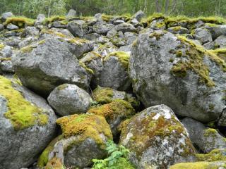 20130819175256.JPG