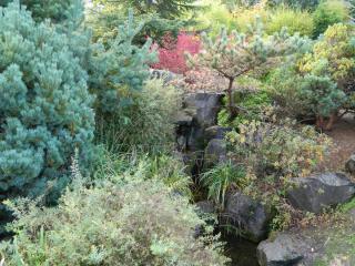 DSCN5144.JPG