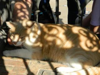 20110929132900.JPG